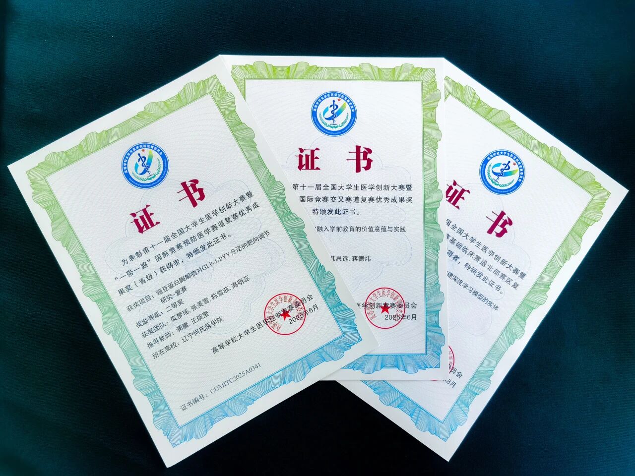 我校在第十一届全国大学生医学创新大赛暨“一带一路”国际竞赛复赛中荣获佳绩