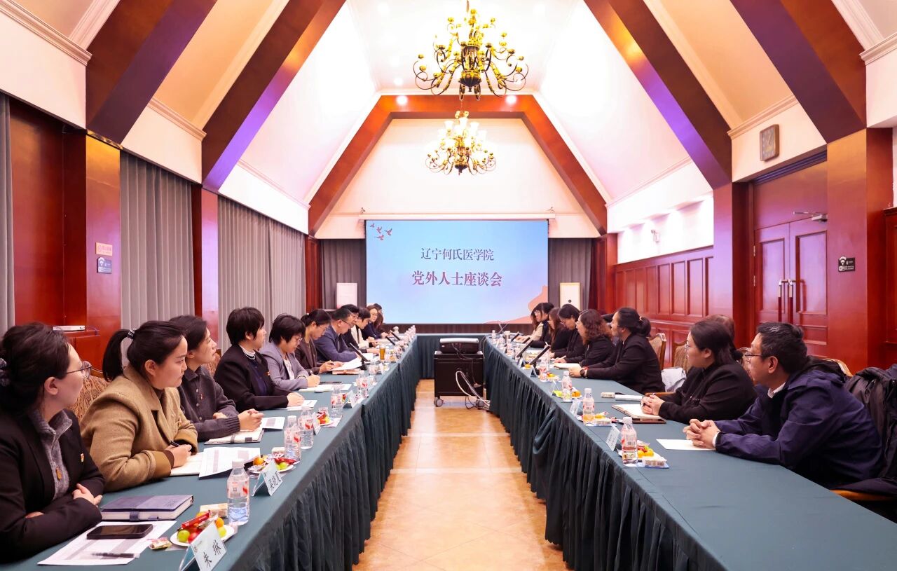 汇聚智慧，共谋发展：我校召开党外人士座谈会