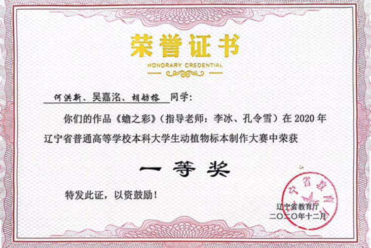 图片 2.png 图片 2.png