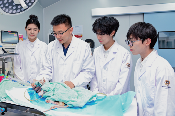 资源 4.png 资源 4.png
