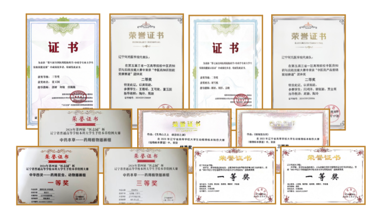 图片 6_副本.png